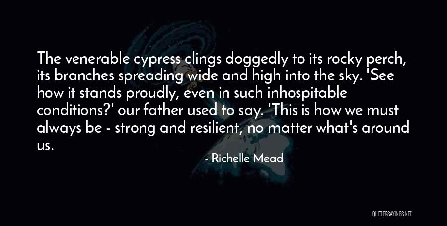 I Am Resilient Quotes By Richelle Mead I Am Resilient Quotes By Richelle Mead