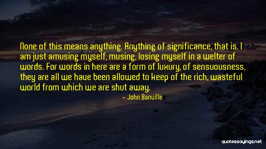 I Am Rich Quotes By John Banville