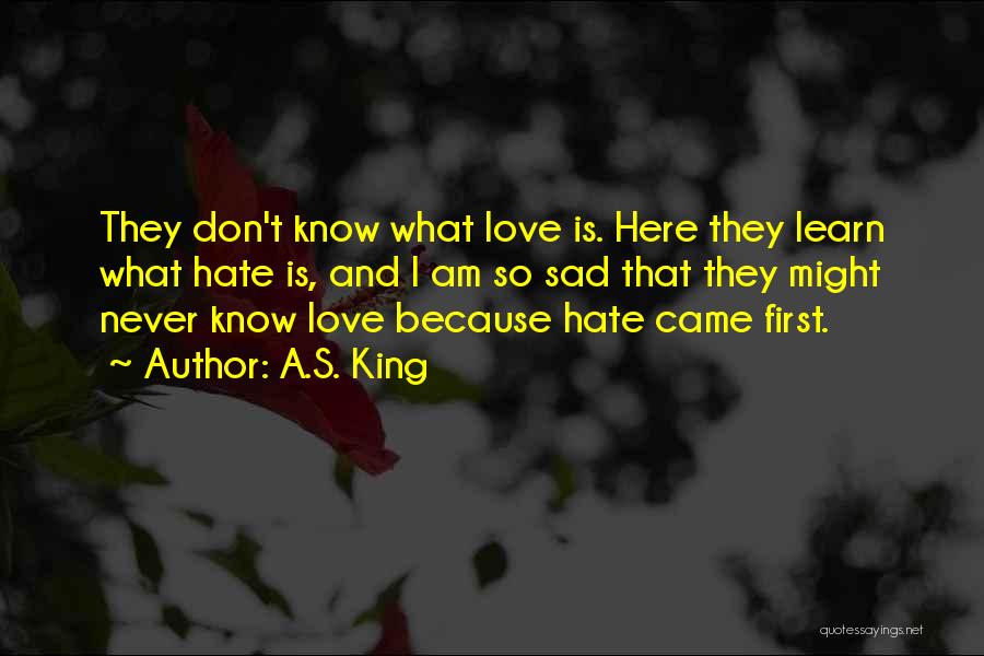 I Am Sad Because Quotes By A.S. King