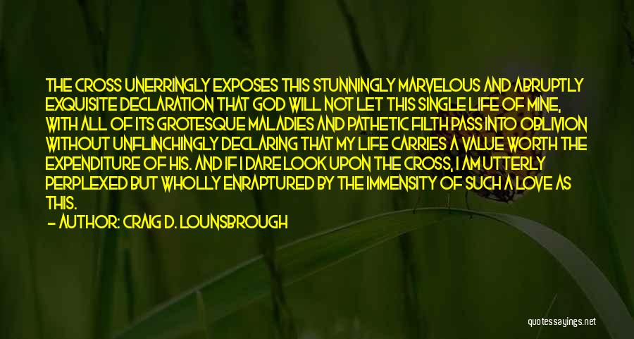 I Am Single Love Quotes By Craig D. Lounsbrough