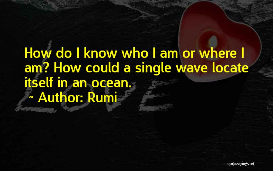 I Am Single Quotes By Rumi