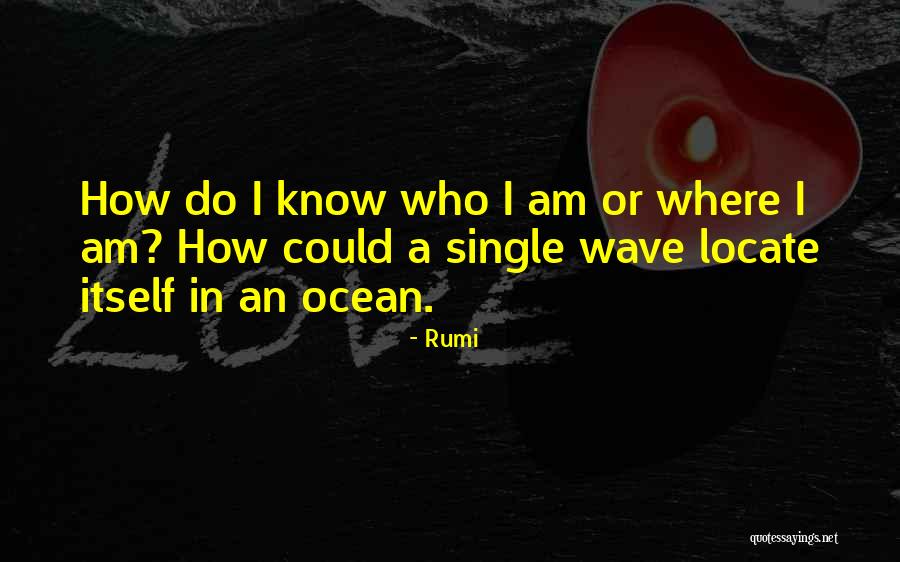 I Am Single Quotes By Rumi