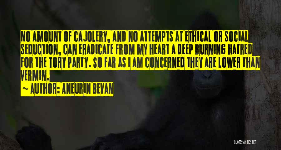 I Am So Deep Quotes By Aneurin Bevan