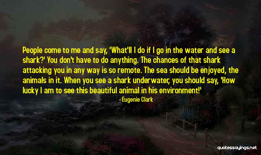 I Am So Lucky To Have You Quotes By Eugenie Clark I Am So Lucky To Have You Quotes By Eugenie Clark