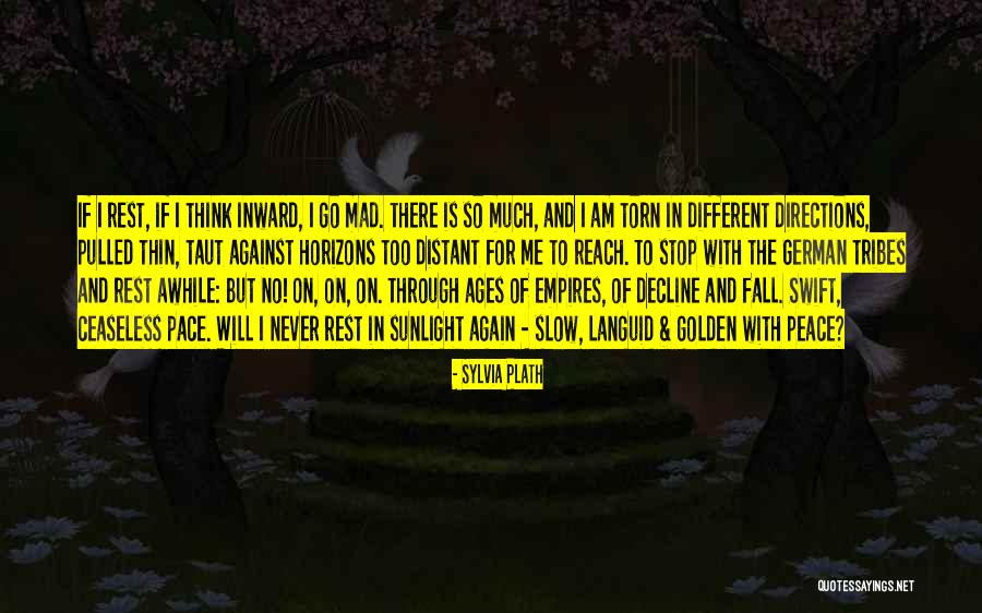 I Am So Mad Quotes By Sylvia Plath I Am So Mad Quotes By Sylvia Plath