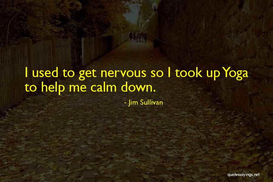 I Am So Nervous Quotes By Jim Sullivan