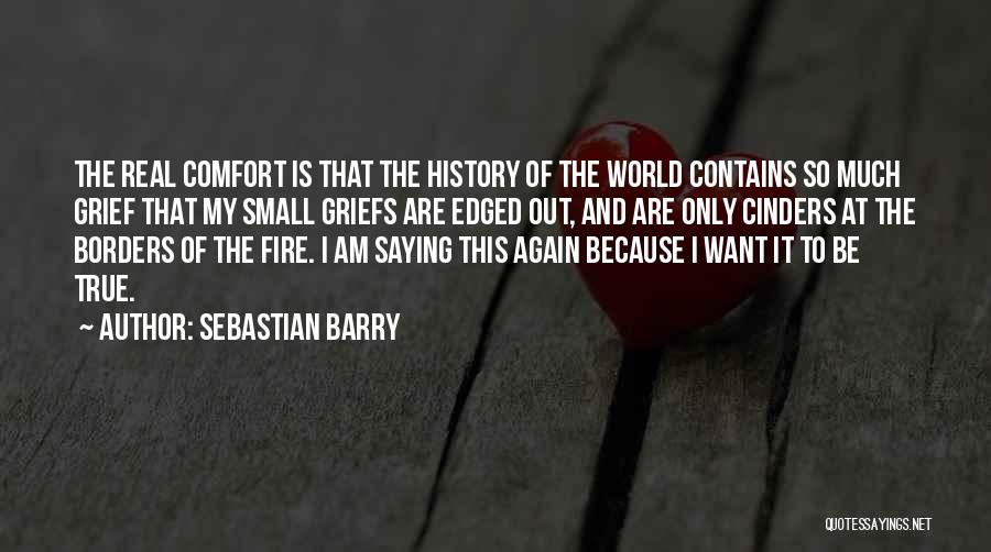 I Am So Real Quotes By Sebastian Barry