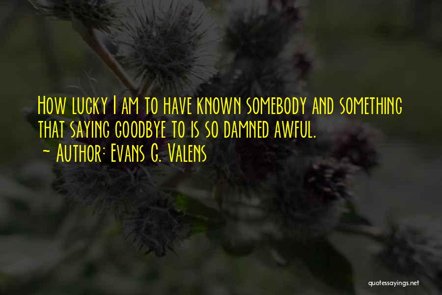 I Am Somebody Quotes By Evans G. Valens