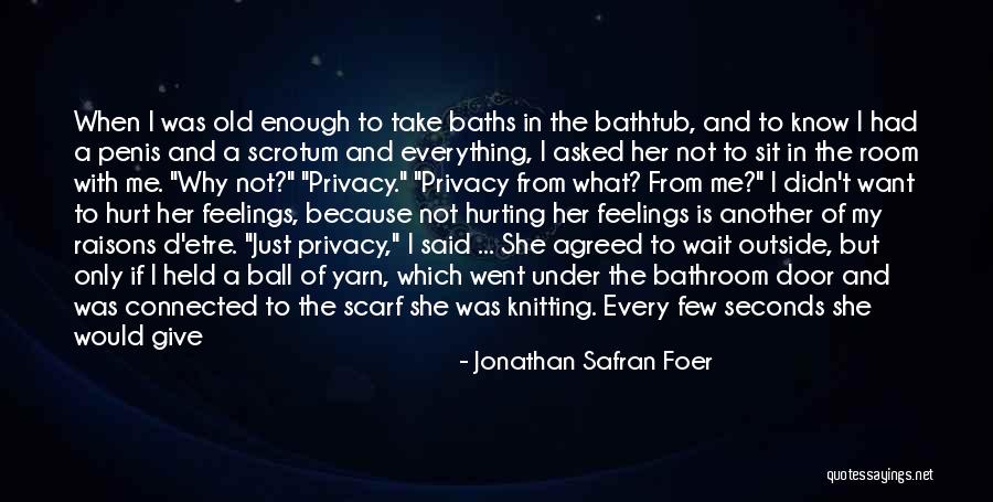 I Am Sorry For Hurting Your Feelings Quotes By Jonathan Safran Foer