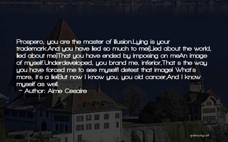 I Am Sorry I Lied To You Quotes By Aime Cesaire