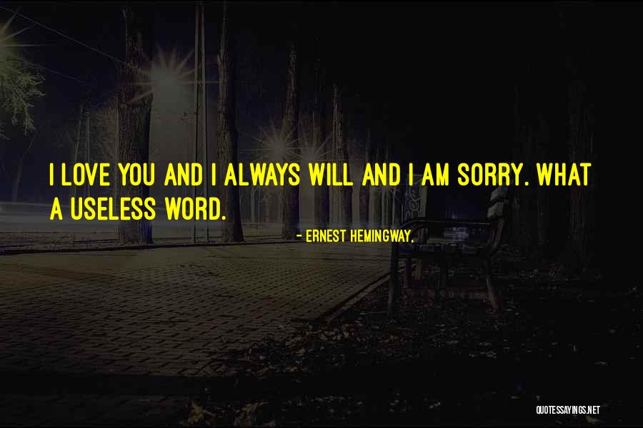 I Am Sorry Love Quotes By Ernest Hemingway,