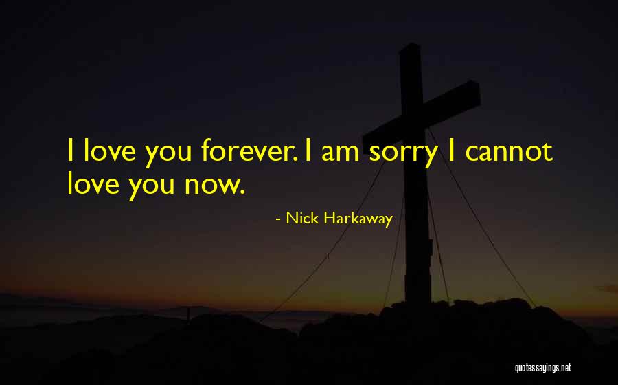 I Am Sorry Love Quotes By Nick Harkaway