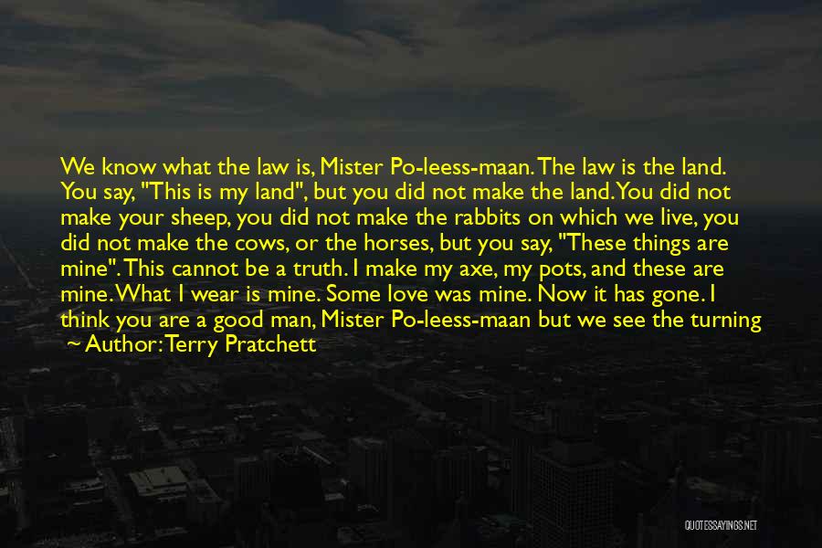 I Am Sorry Love You Quotes By Terry Pratchett