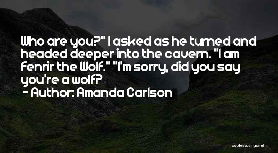 I Am Sorry Quotes By Amanda Carlson