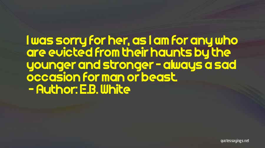 I Am Sorry Quotes By E.B. White