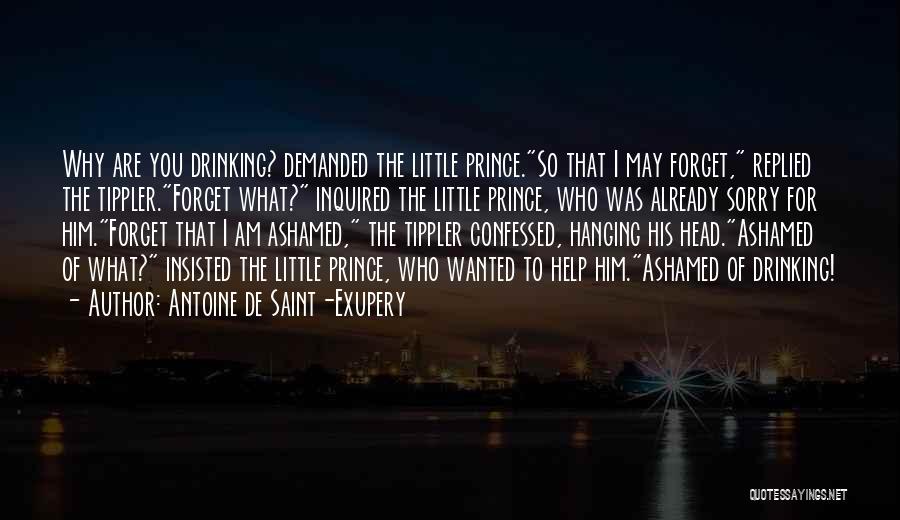 I Am Sorry To Him Quotes By Antoine De Saint-Exupery