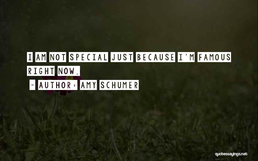 I Am Special Because Quotes By Amy Schumer