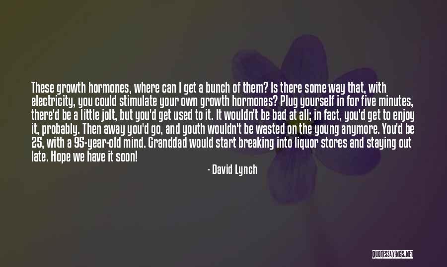 I Am Staying Away Quotes By David Lynch