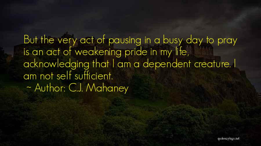 I Am Sufficient Quotes By C.J. Mahaney