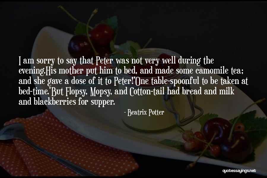 I Am Taken Quotes By Beatrix Potter I Am Taken Quotes By Beatrix Potter