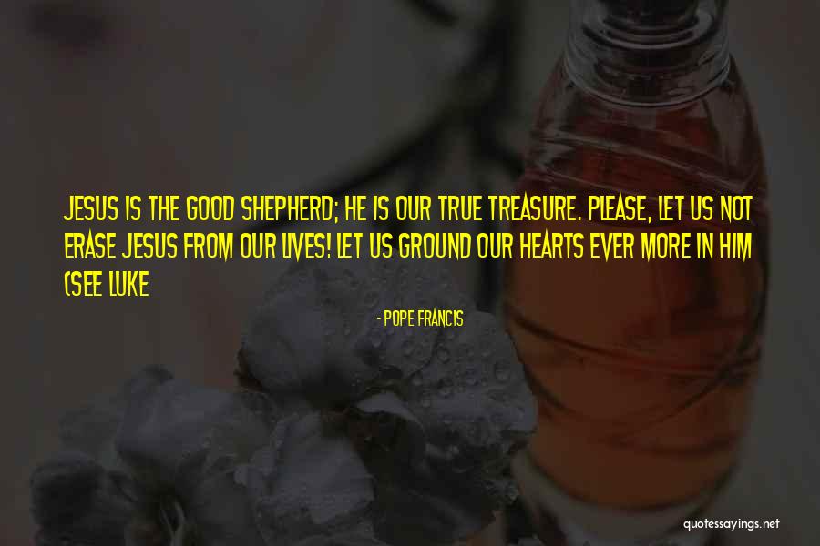 I Am The Good Shepherd Quotes By Pope Francis I Am The Good Shepherd Quotes By Pope Francis