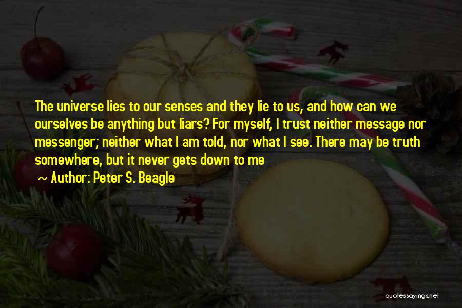 I Am The Messenger Quotes By Peter S. Beagle
