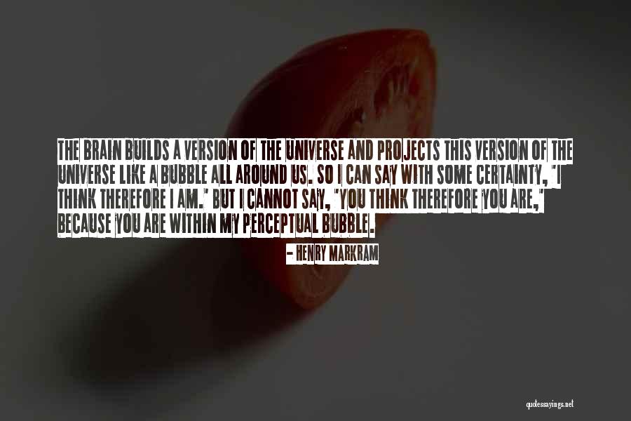 I Am The Universe Quotes By Henry Markram I Am The Universe Quotes By Henry Markram