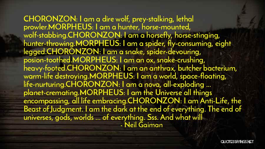 I Am The Universe Quotes By Neil Gaiman I Am The Universe Quotes By Neil Gaiman