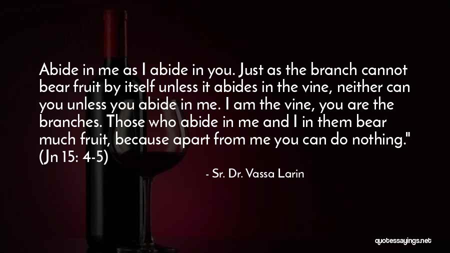 I Am The Vine You Are The Branches Quotes By Sr. Dr. Vassa Larin I Am The Vine You Are The Branches Quotes By Sr. Dr. Vassa Larin
