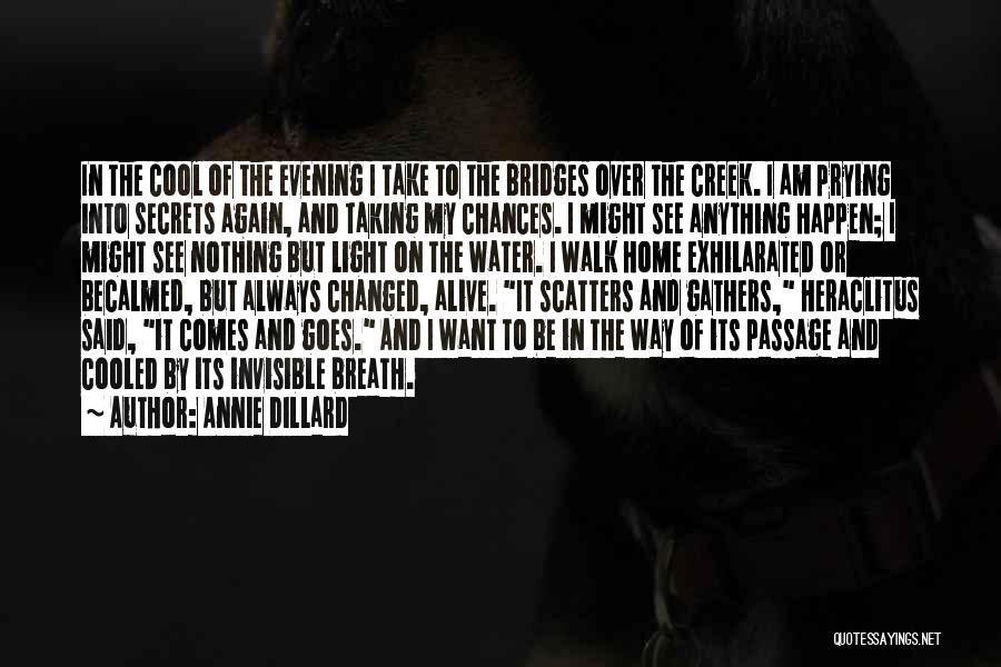 I Am The Way I Am Quotes By Annie Dillard