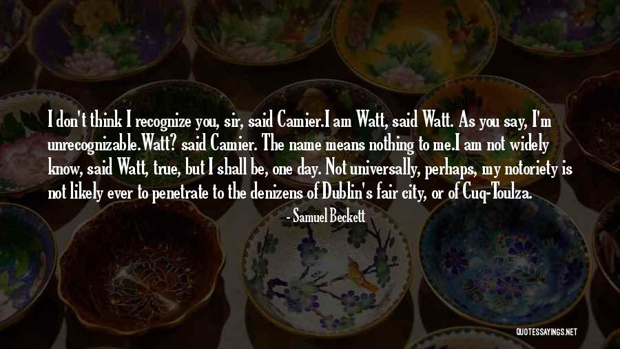 I Am True To You Quotes By Samuel Beckett