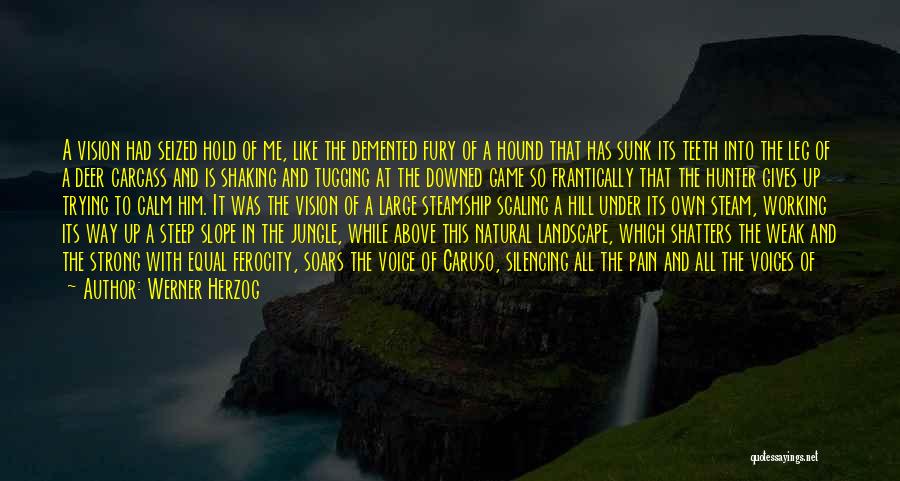 I Am Trying To Be Strong Quotes By Werner Herzog