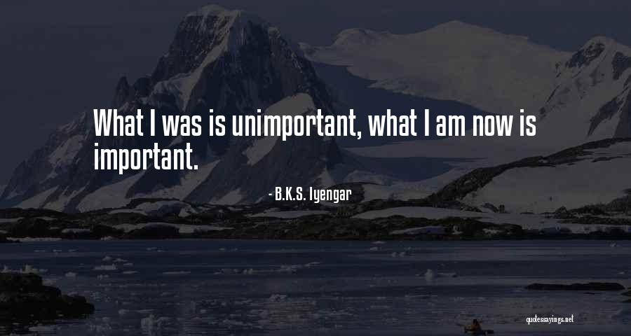 I Am Unimportant Quotes By B.K.S. Iyengar I Am Unimportant Quotes By B.K.S. Iyengar