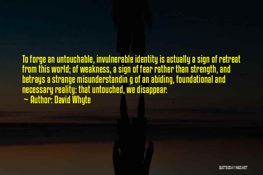 I Am Untouchable Quotes By David Whyte