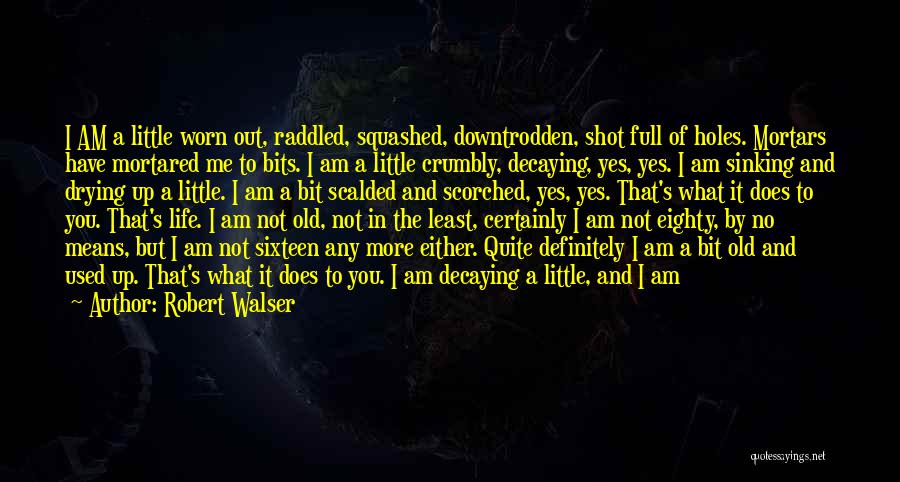 I Am Used To It Quotes By Robert Walser