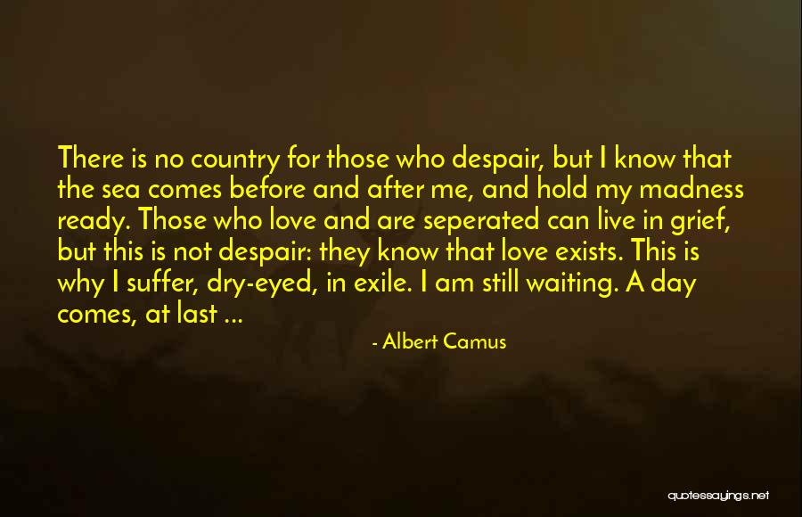 I Am Waiting Love Quotes By Albert Camus