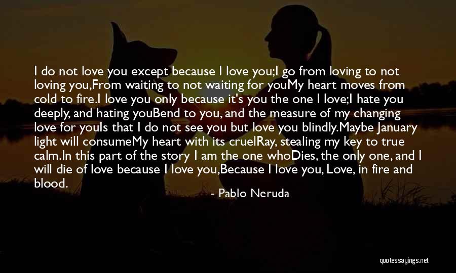 I Am Waiting Love Quotes By Pablo Neruda