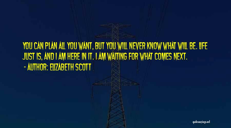 I Am Waiting You Quotes By Elizabeth Scott