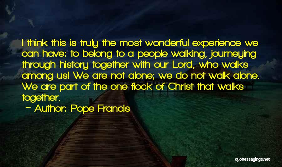 I Am Walking Alone Quotes By Pope Francis