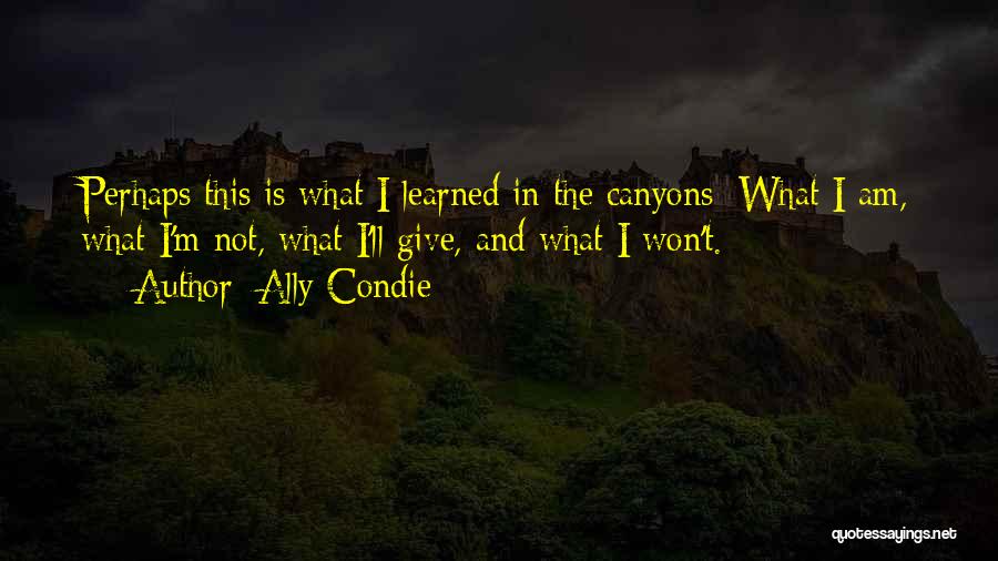 I Am What I Am Quotes By Ally Condie