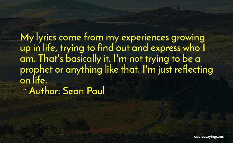 I Am Who I Am Like It Or Not Quotes By Sean Paul