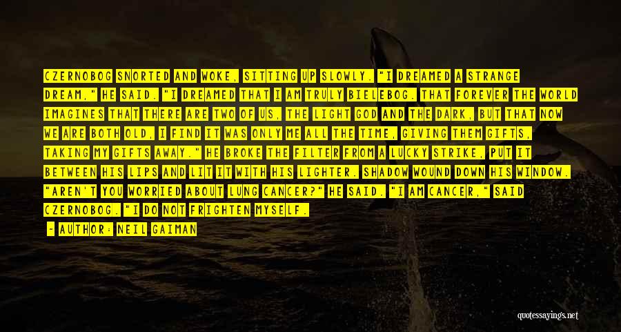 I Am Worried About You Quotes By Neil Gaiman