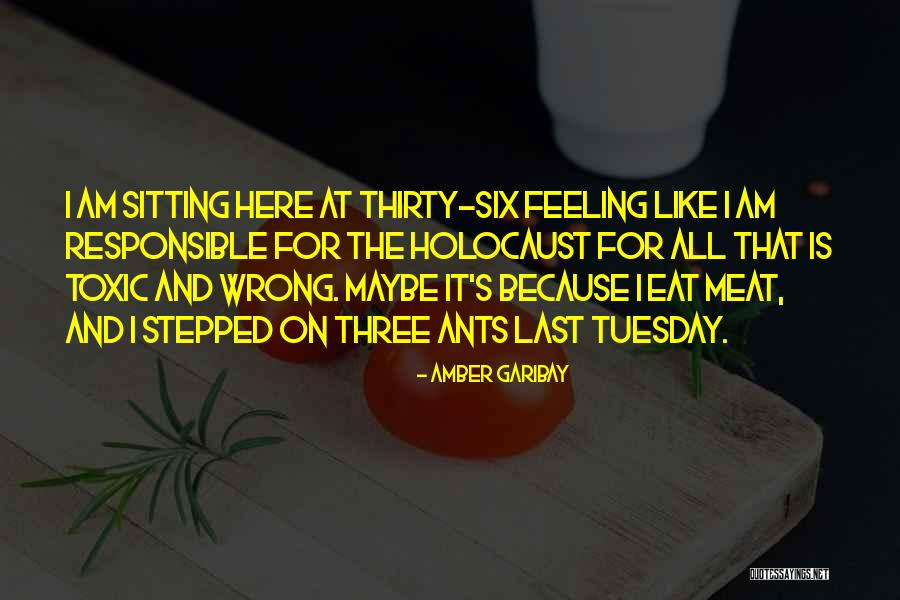 I Am Wrong Quote Quotes By Amber Garibay I Am Wrong Quote Quotes By Amber Garibay