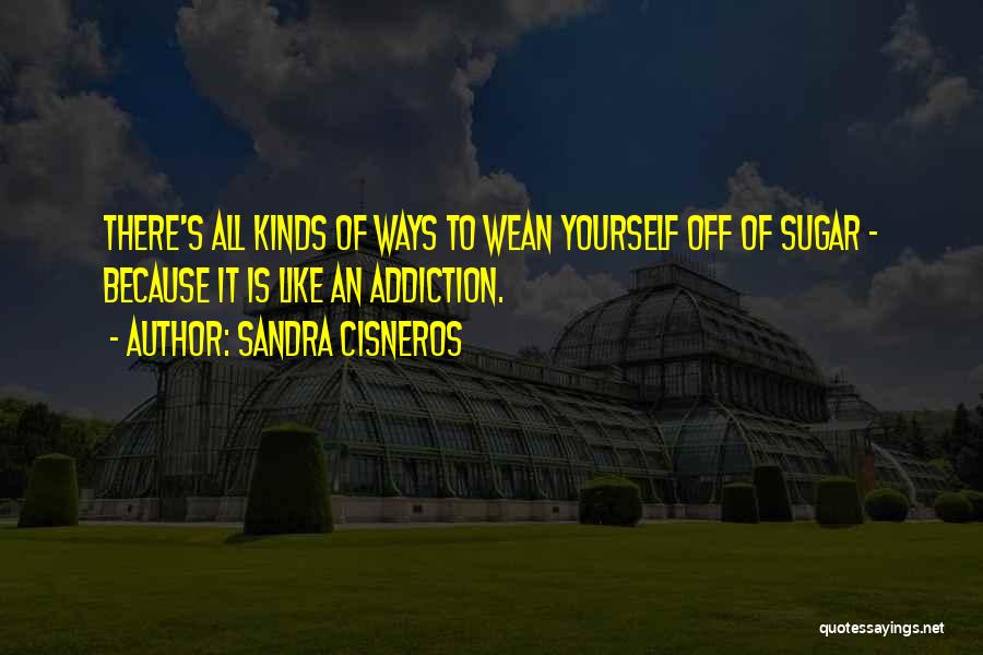 I Am Your Addiction Quotes By Sandra Cisneros
