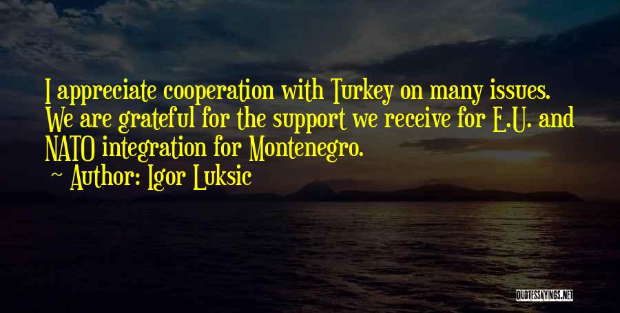 I Appreciate Your Support Quotes By Igor Luksic