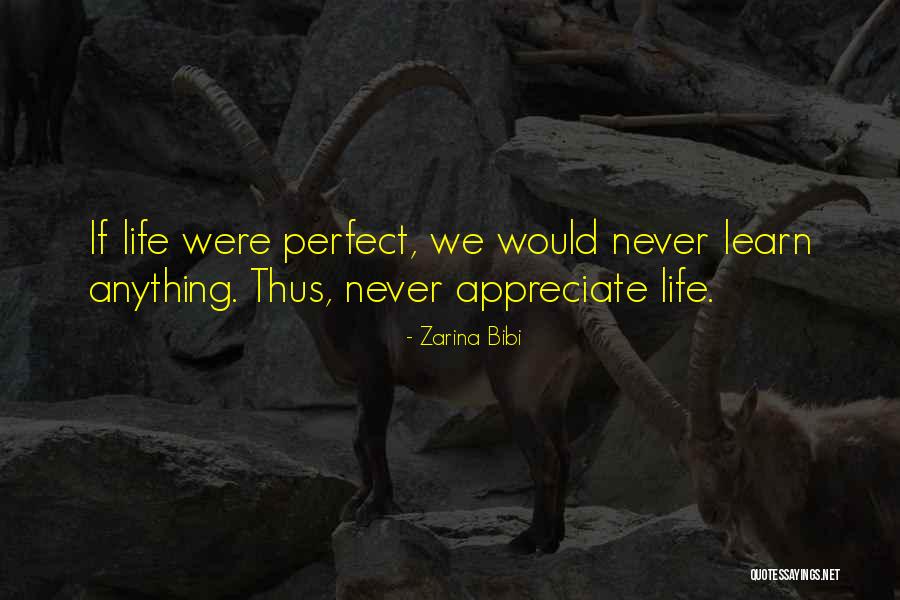 I Appreciate Your Understanding Quotes By Zarina Bibi I Appreciate Your Understanding Quotes By Zarina Bibi