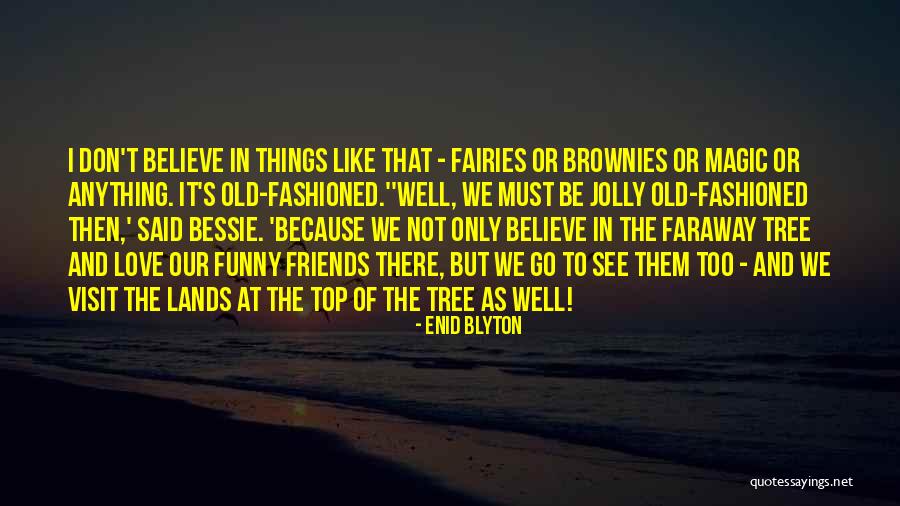 I Believe In Fairies Quotes By Enid Blyton I Believe In Fairies Quotes By Enid Blyton