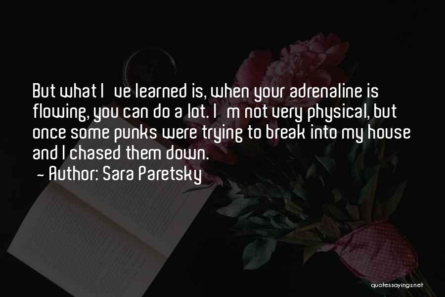 I Break Down Quotes By Sara Paretsky