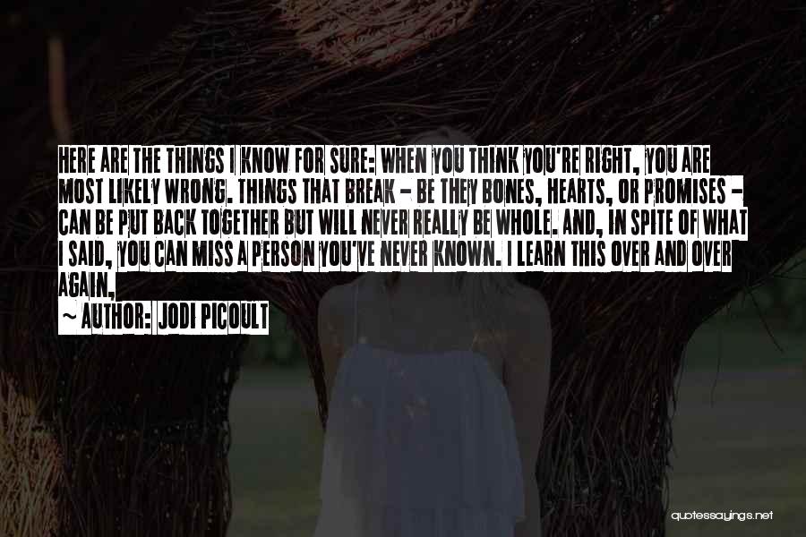 I Break Promises Quotes By Jodi Picoult