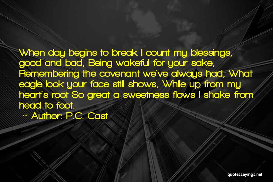 I Break Your Heart Quotes By P.C. Cast